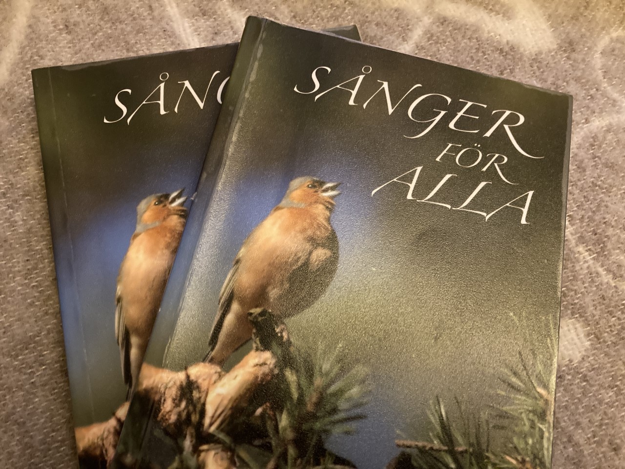 Sångarglädje - ALLSÅNG för daglediga